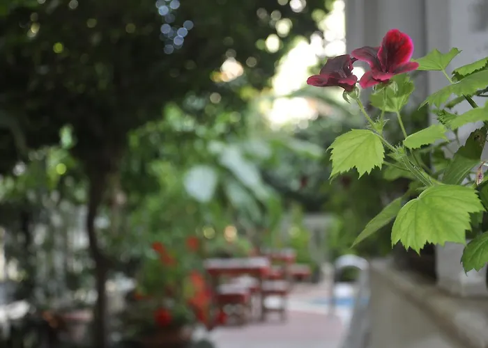 Casablanca 3* Bahtili